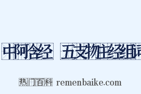 中阿含经·五支物主经组词是什么意思的图片